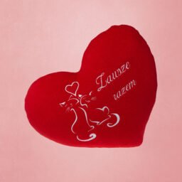 Serce Walentynki